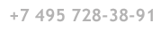 +7 495 7283891